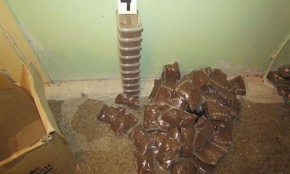 2013-11-21-1553akce_Holič (8).JPG